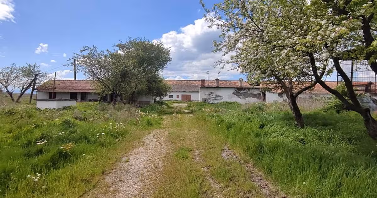 Teren Construcții intravilan de vânzare de 41000 mp, în Bod