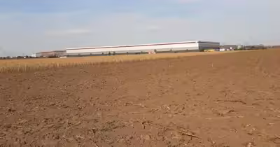 Teren Domnești