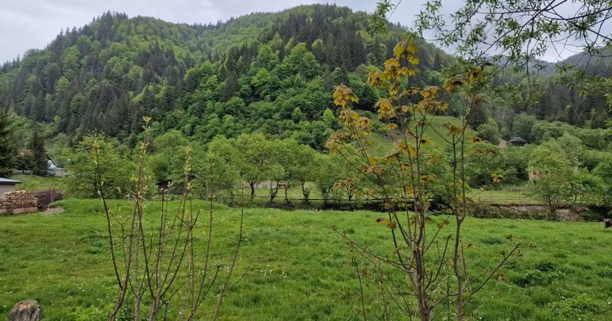 Teren Construcții intravilan de vânzare de 1775 mp, în Sătic