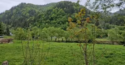 Teren Sătic