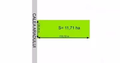 Teren Aradului