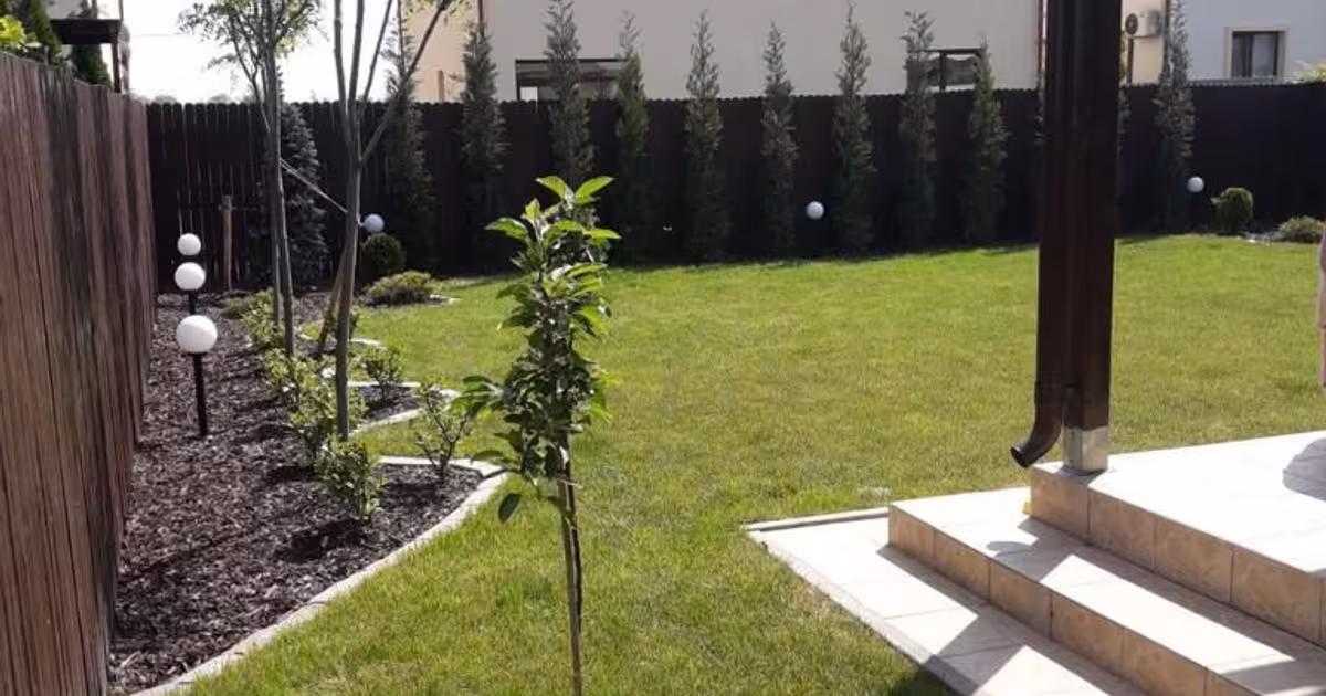 Casă individuală de vânzare cu 4 camere în Corbeanca