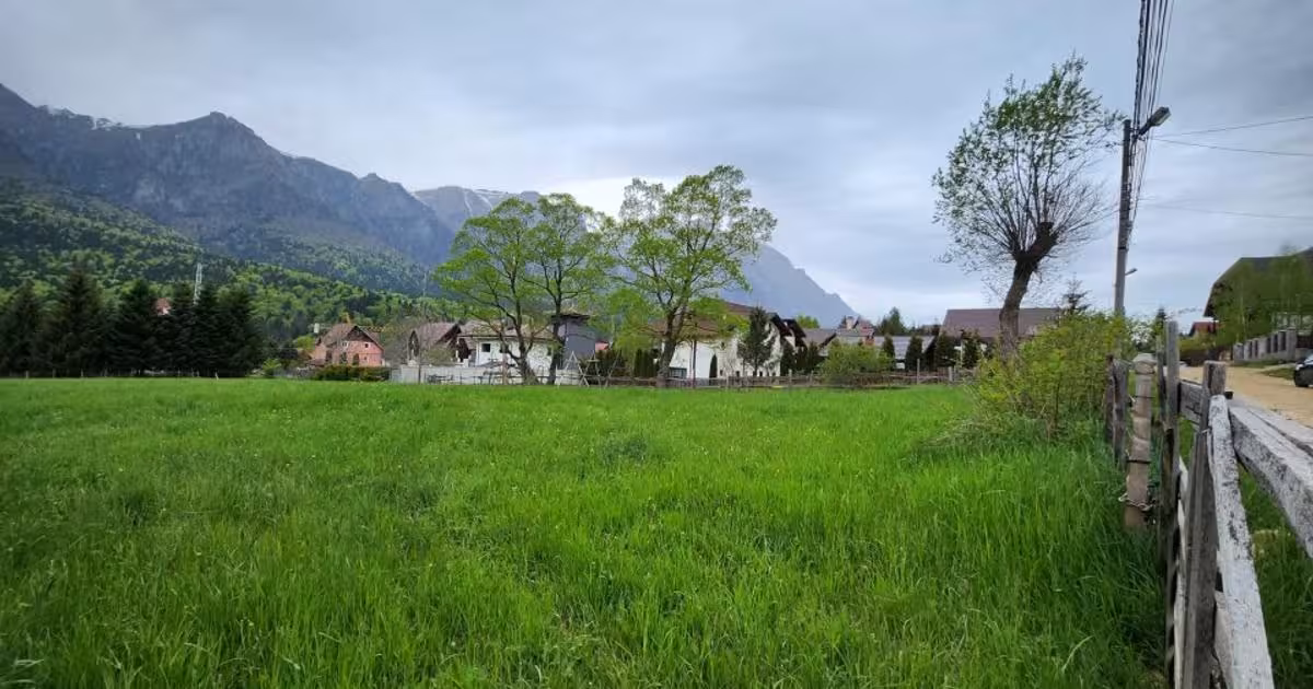 Teren Construcții intravilan de vânzare de 2675 mp, în Poiana Țapului