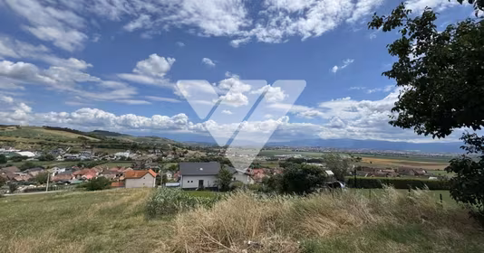 Teren Șura Mare