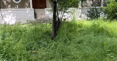 Casă Șirna