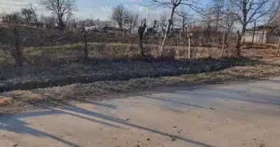 Teren Cocorăștii Colț