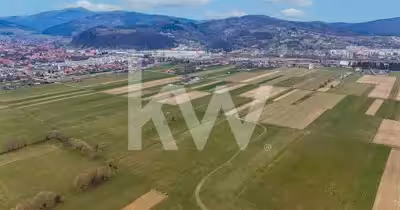 Teren Zărnești