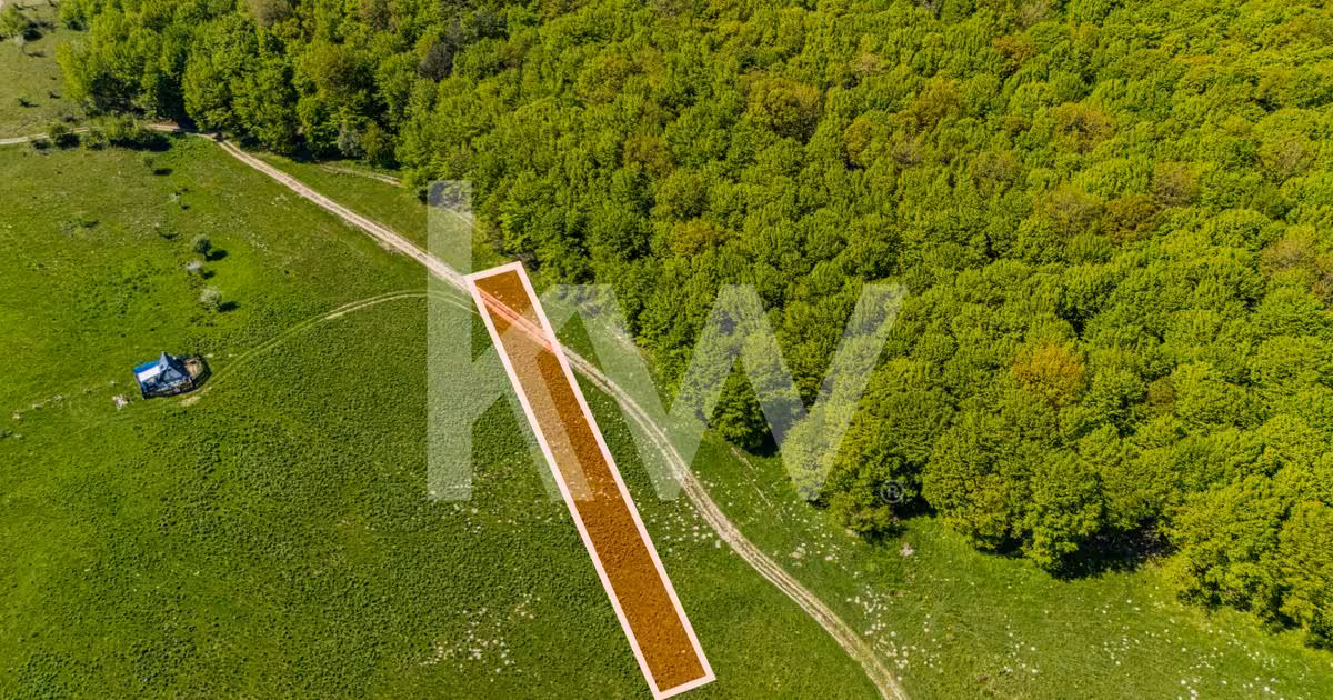 Teren agricol extravilan de vânzare de 1500 mp, în Codlea