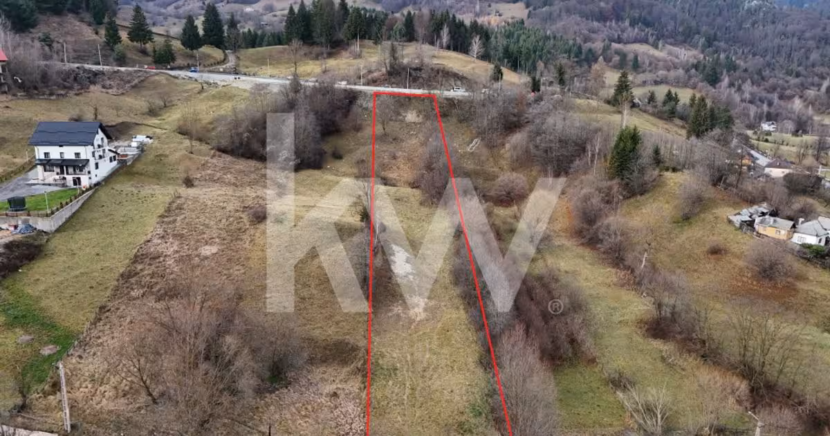 Teren Construcții intravilan de vânzare de 3726 mp, în Dâmbovicioara