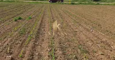 Teren Moara Vlăsiei
