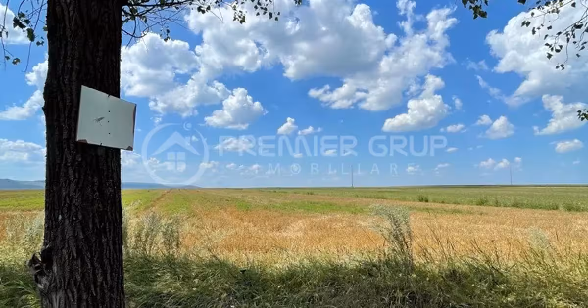 Teren agricol extravilan de vânzare de 7000 mp, în Miroslava