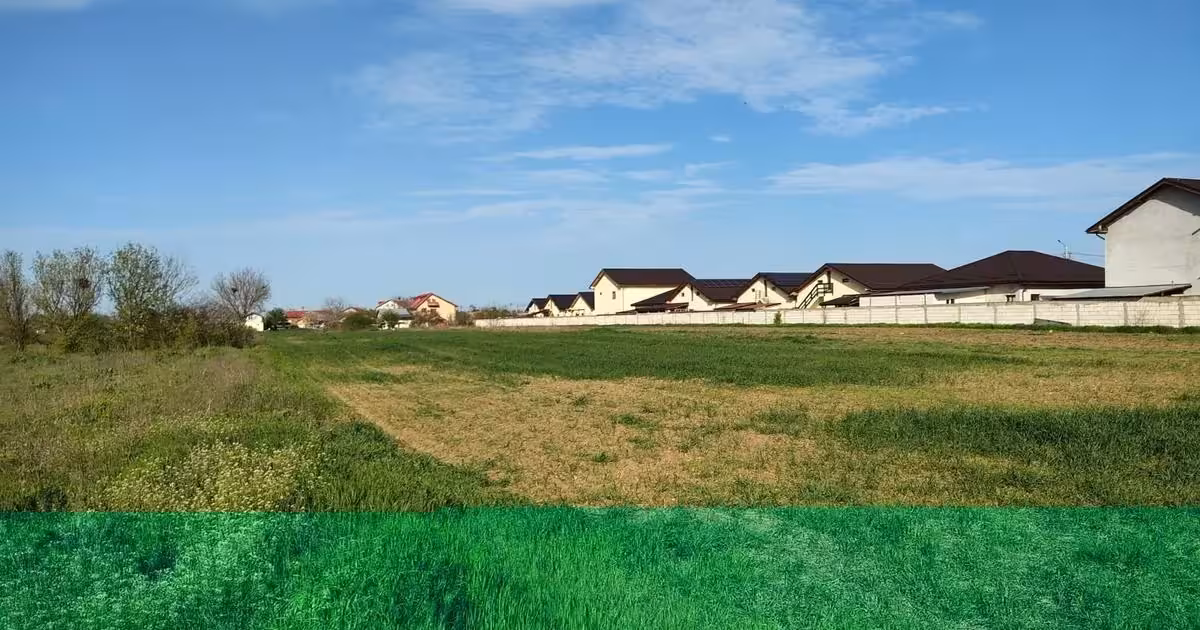 Teren Construcții intravilan de vânzare de 1588 mp, în Cernica