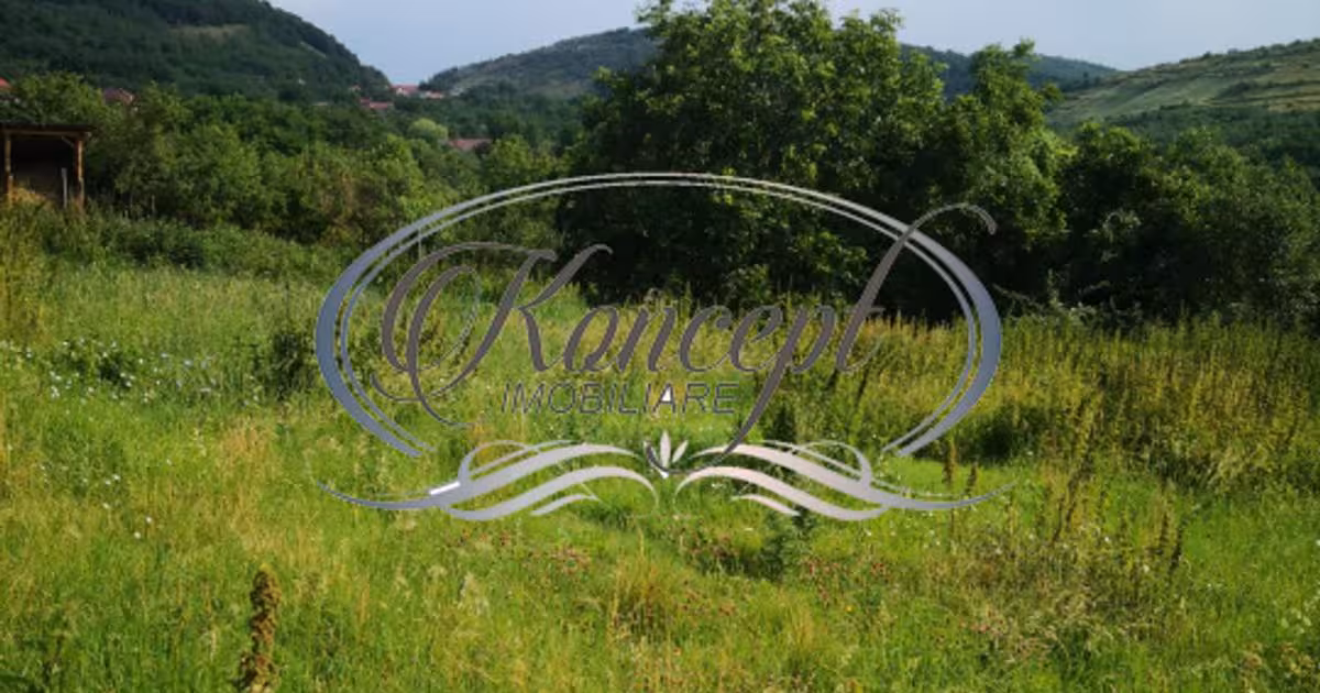 Teren Construcții intravilan de vânzare de 773 mp, în Ciurila