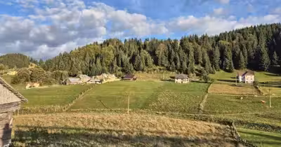 Teren Fundata