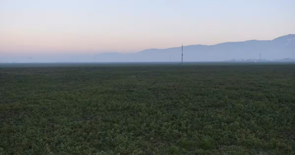 Teren Construcții intravilan de vânzare de 26000 mp, în Codlea