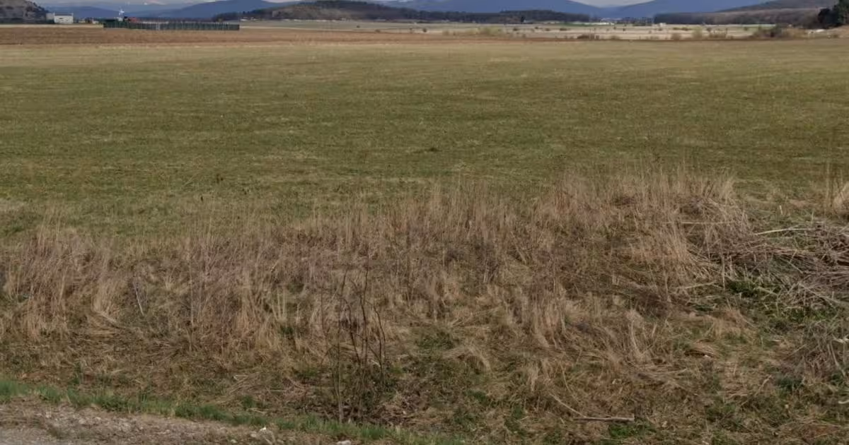 Teren agricol extravilan de vânzare de 93800 mp, în Bod