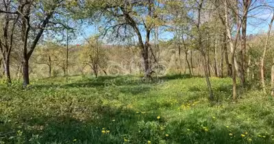 Teren Albeștii de Muscel