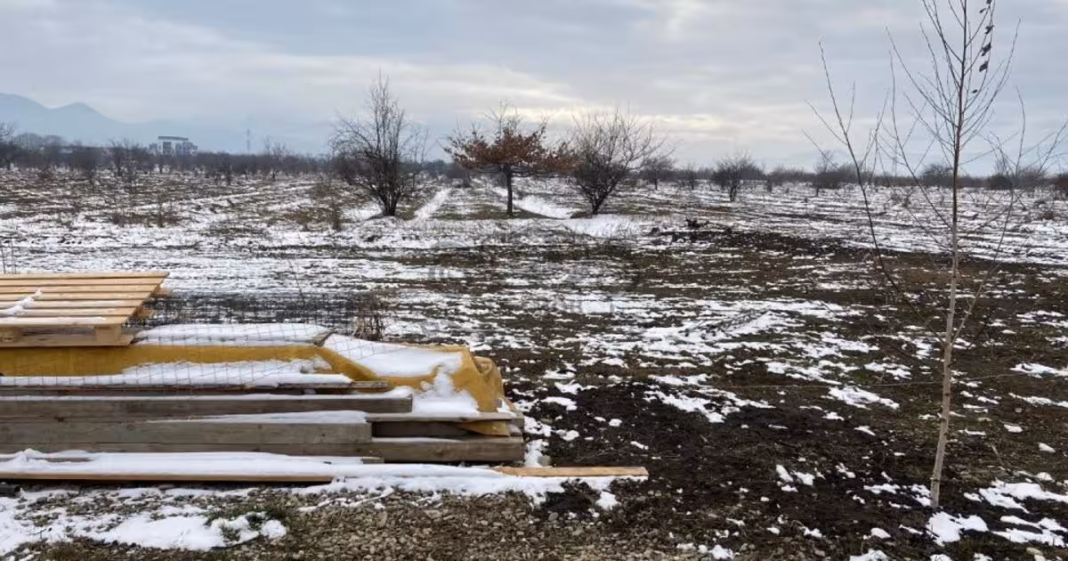 Teren Construcții intravilan de vânzare de 6000 mp, în Ghimbav