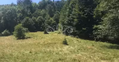 Teren Albeștii de Muscel