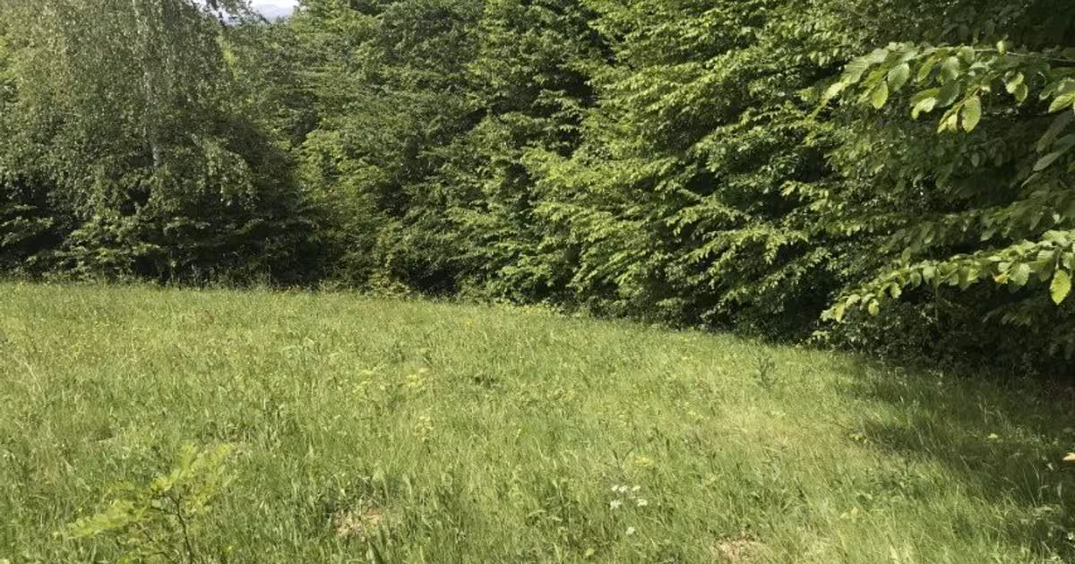 Teren Construcții extravilan de vânzare de 14600 mp, în Albeștii de Muscel