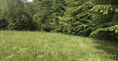 Teren Albeștii de Muscel