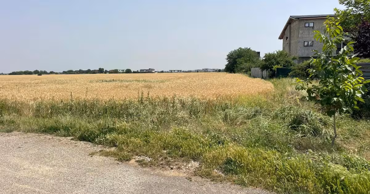 Teren Construcții extravilan de vânzare de 7000 mp, în Otopeni