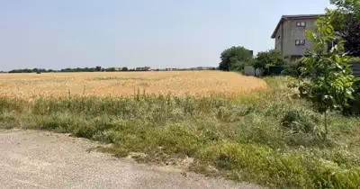 Teren Otopeni
