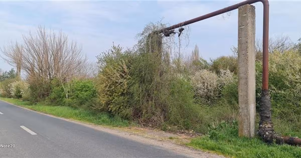 Teren agricol intravilan de vânzare de 2500 mp, în Dorobanți