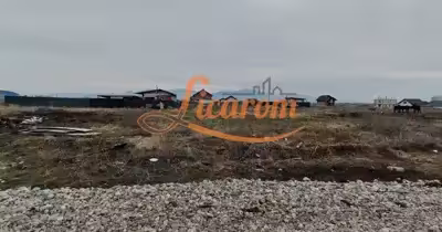 Teren Tractorul