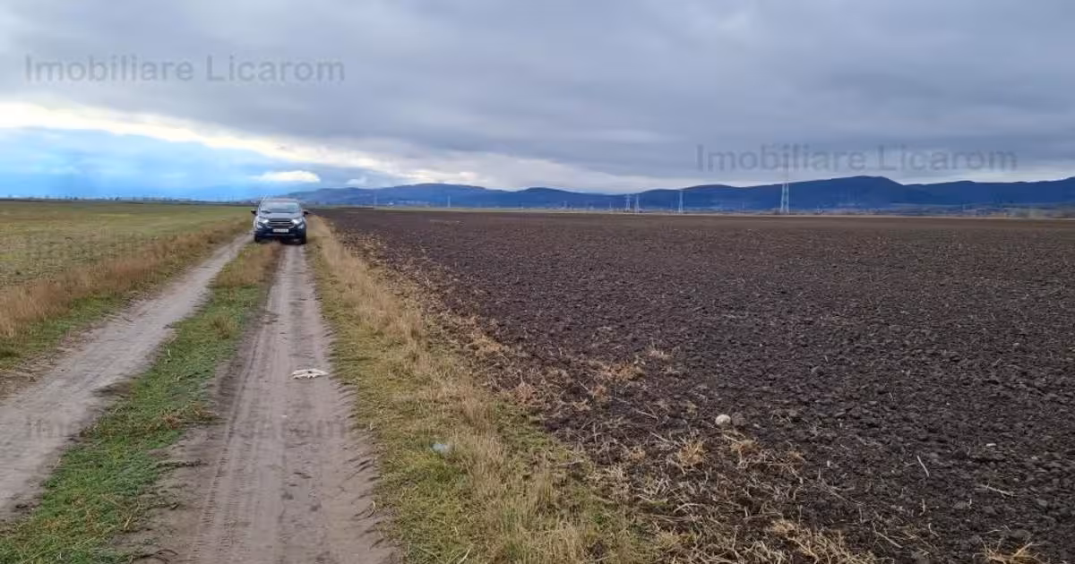 Teren agricol extravilan de vânzare de 29000 mp, în Cristian