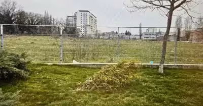 Teren Berceni