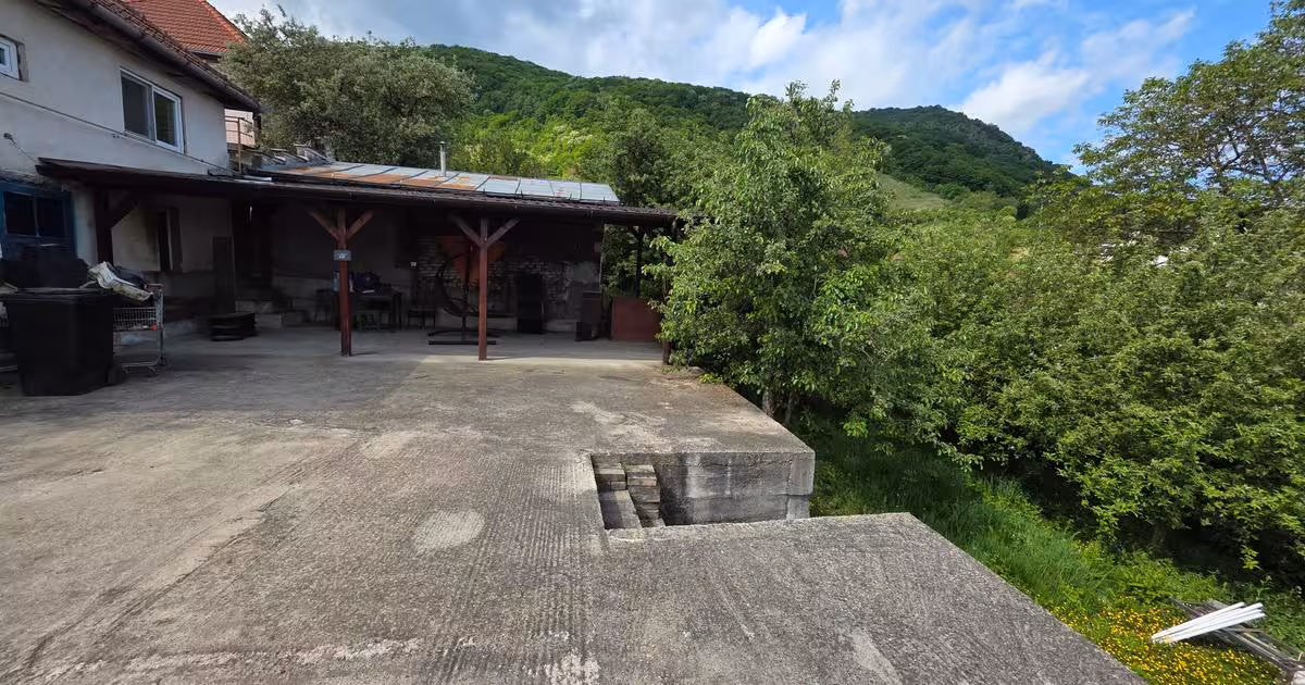 Casă de vânzare cu 3 camere în zona Viile Noi, Deva