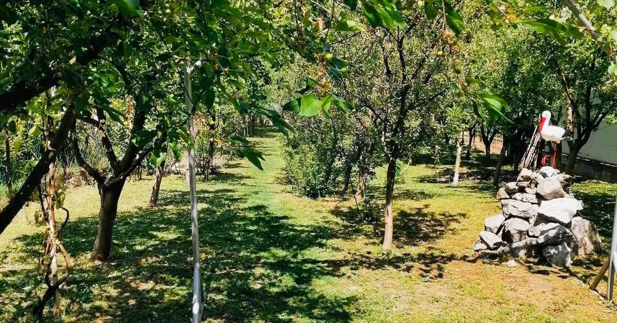 Casă de vânzare cu 4 camere în zona Aurel Vlaicu, Deva