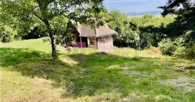 Teren Turnișor