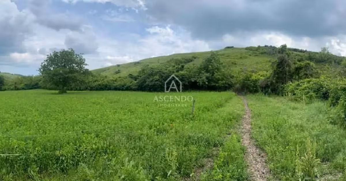 Teren Construcții intravilan de vânzare de 15900 mp, în Fințești