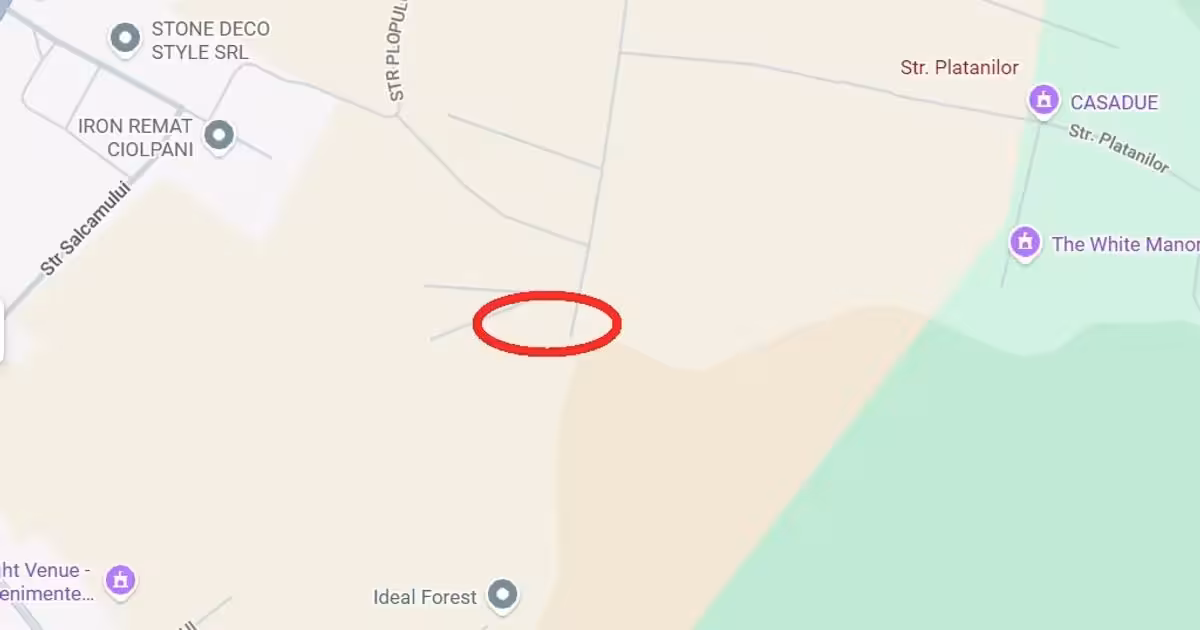 Teren intravilan de vânzare de 980 mp, în Ciolpani