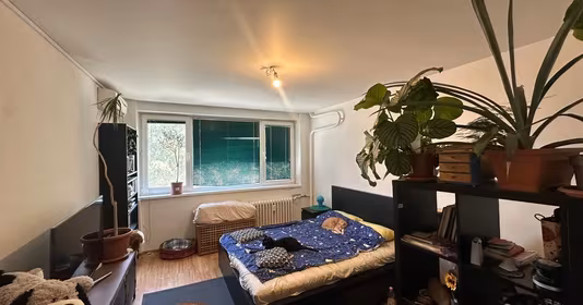 Apartament Brâncoveanu