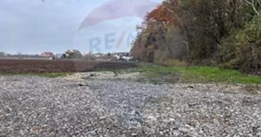 Teren Vlădiceasca