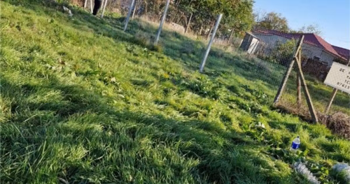 Teren Construcții intravilan de vânzare de 500 mp, în Murfatlar
