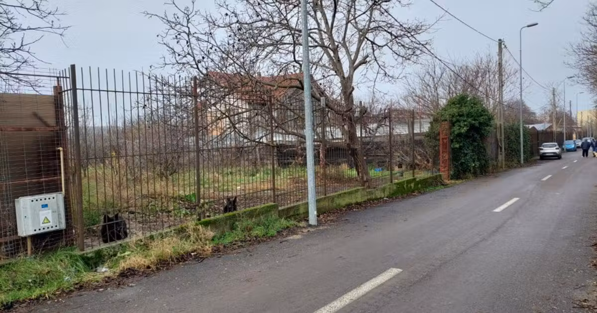 Teren Construcții intravilan de vânzare de 1174 mp, în zona Kamsas, Constanța