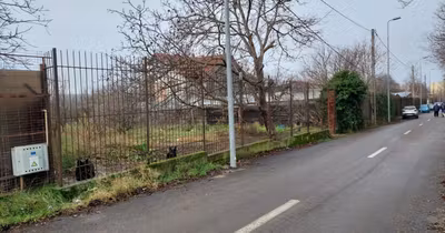 Teren Kamsas