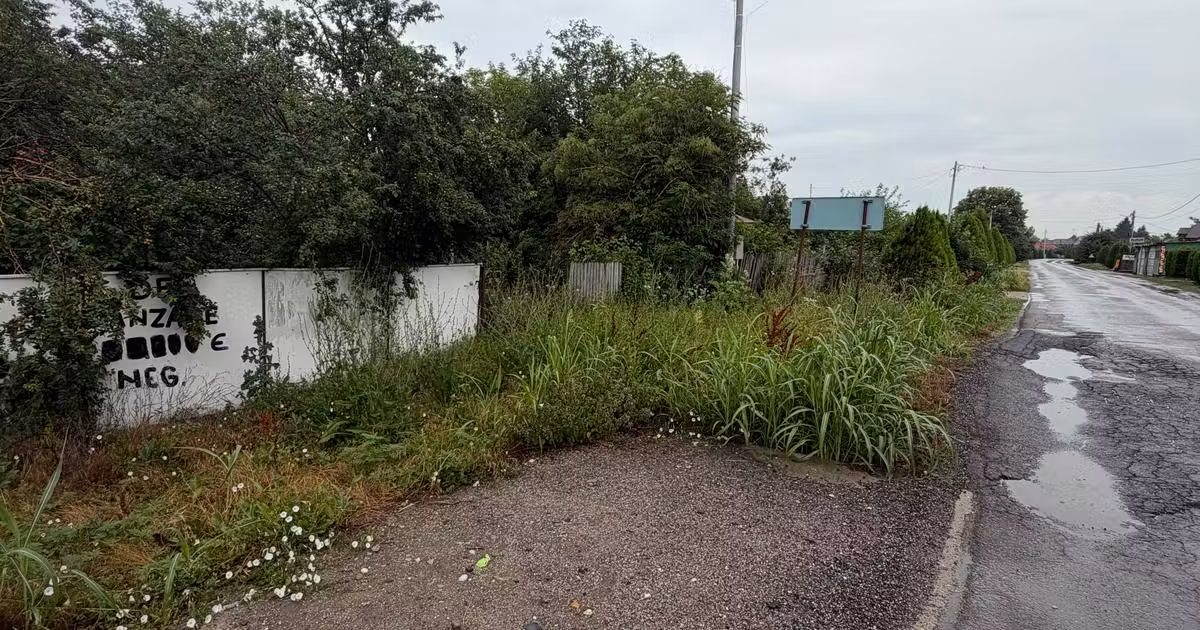 Teren intravilan de vânzare de 859 mp, în Buturugeni