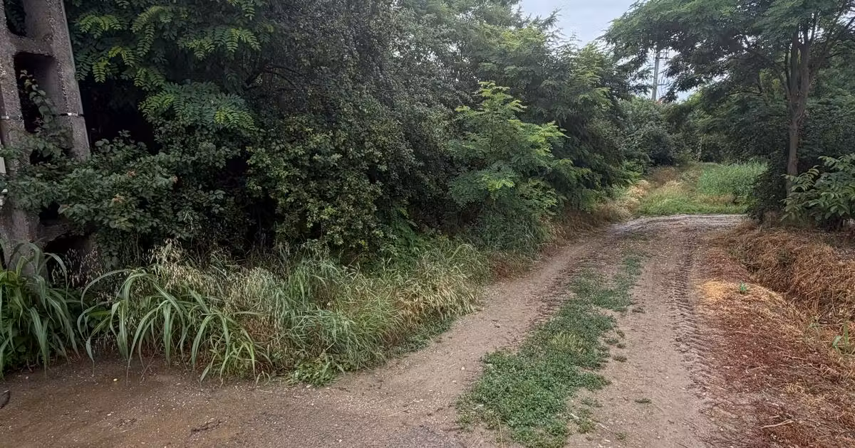 Teren intravilan de vânzare de 653 mp, în Buturugeni