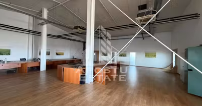 Spațiu comercial Torontalului