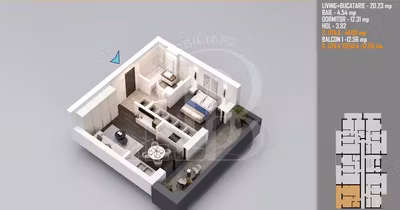 Apartament Theodor Pallady