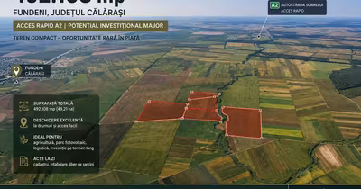 Teren Brănești