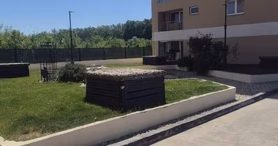 Apartament Pipera