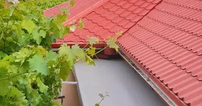 Casă Coiciu
