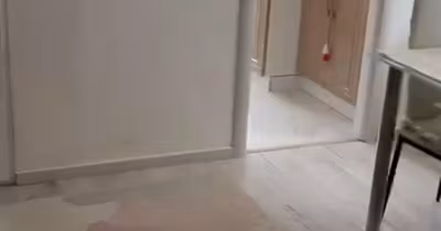 Apartament Inel II