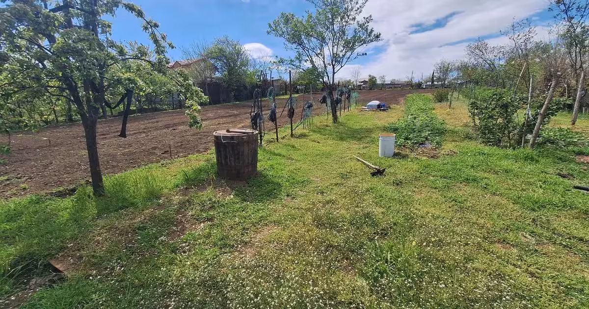 Teren Construcții intravilan de vânzare de 2691 mp, în Tulucești